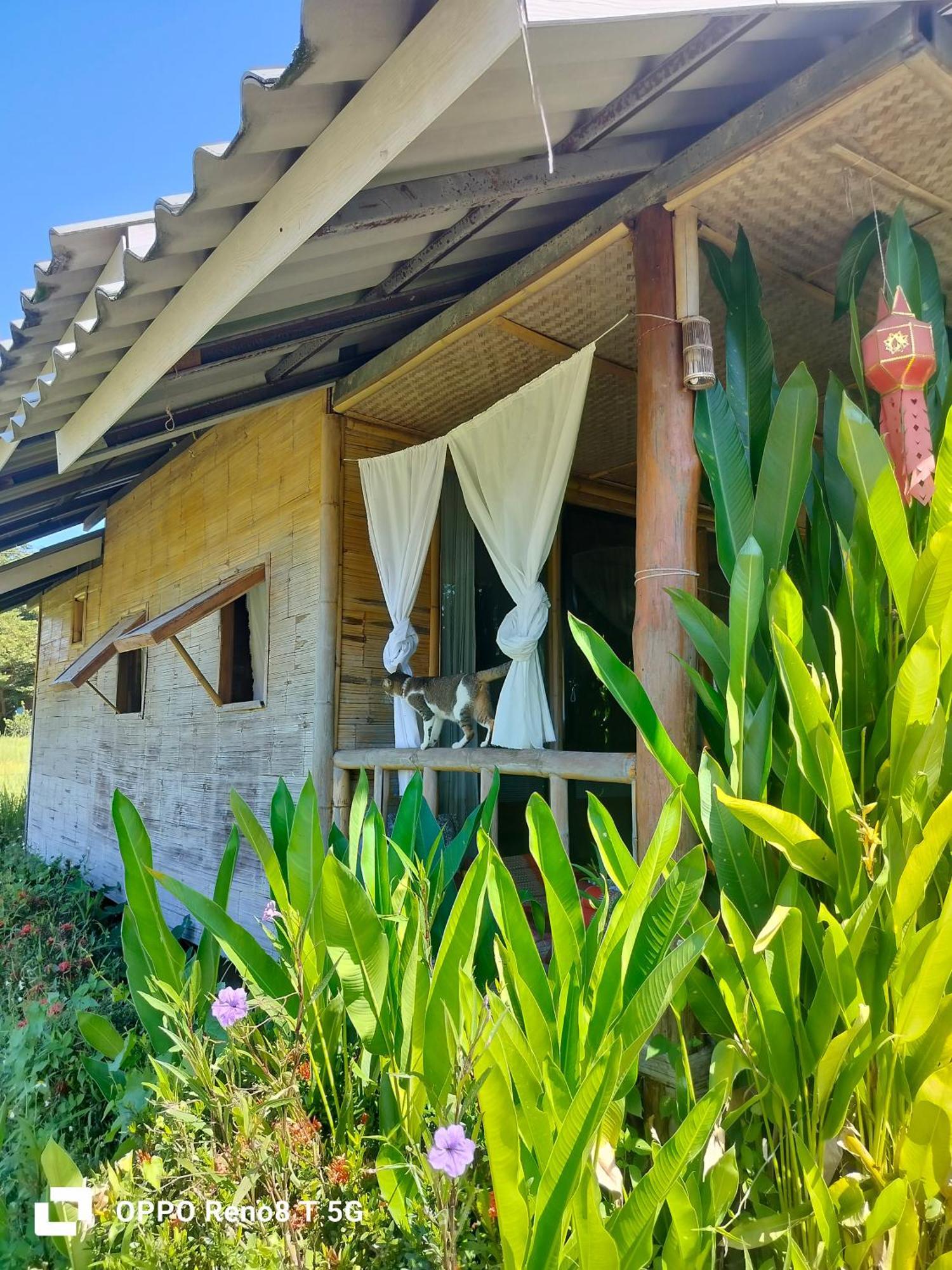 Tulip Resort Pai Exterior photo